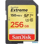 Карта памяти SanDisk Extreme SDXC SDSDXV5-256G-GNCIN 256GB