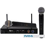 Микрофон Ritmix RWM-221