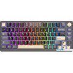 Клавиатура Royal Kludge RK-M75 RGB (Phantom, RK Silver)