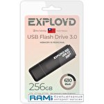 USB Flash Exployd 630 256GB (черный)