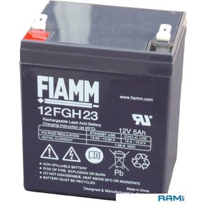 Аккумуляторная батарея для ИБП Fiamm 12FGH23Slim