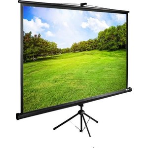 Проекционный экран CACTUS TriExpert 200x150 CS-PSTE-200х150-BK