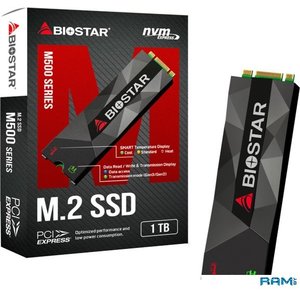 SSD BIOSTAR M500 1TB M500-1TB