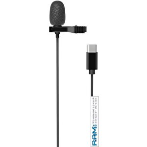 Микрофон Ritmix RCM-210