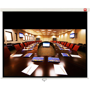 Проекционный экран Avtek Business 240 (240x200) [1EVS57]
