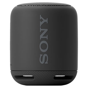 Портативная аудиосистема Sony SRS-XB10 Black