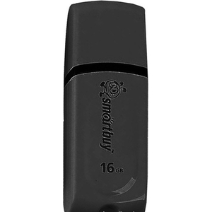 16GB USB Drive SmartBuy (SB16GBPN-K)