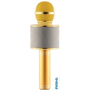 Микрофон Wise WS-858 (золотистый)