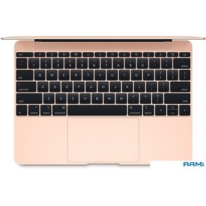 Ноутбук Apple MacBook 2017 MRQP2