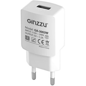 Зарядное устройство Ginzzu GA-3003W