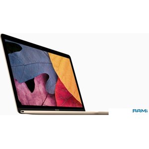 Ноутбук Apple MacBook 2017 MNYL2