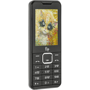 Мобильный телефон Fly [FF243] Black