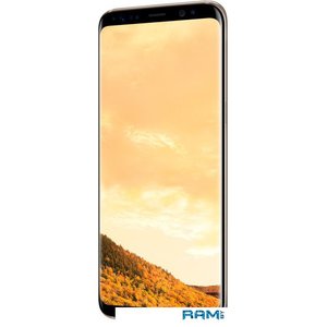 Смартфон Samsung Galaxy S8 Dual SIM 64GB (желтый топаз) [G950FD]