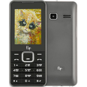 Мобильный телефон Fly [FF243] Black