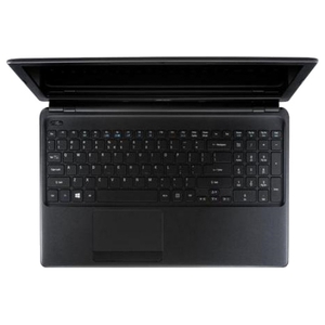 Ноутбук Acer Aspire E1-532-29554G50Mnii (NX.MFYEU.003)