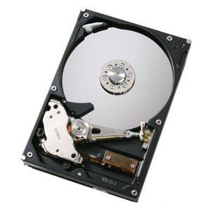 Жесткий диск 250Gb Hitachi HSHTS543225L9A300