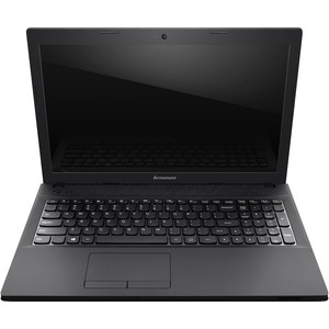 Ноутбук Lenovo IdeaPad G505A (59391950)