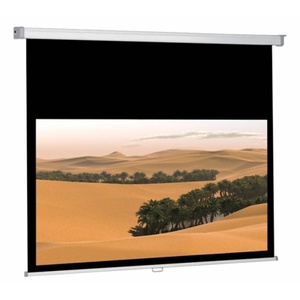 Экран настенный Ligra Cineroll manual MW 244x175 см