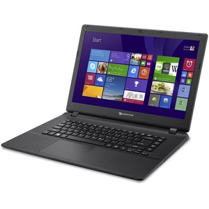 Ноутбук Acer Packard Bell ENTF71BM-C8S6 (NX.C3SEU.001)