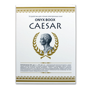 Электронная книга ONYX BOOX Caesar