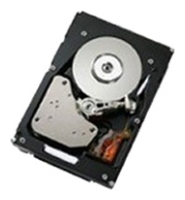 Жесткий диск Hitachi 300GB 15K 6Gbps SAS 2.5 SFF HS HDD (81Y9935)
