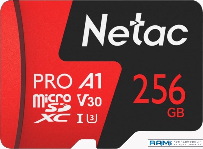 Netac P500 Extreme Pro 256GB NT02P500PRO-256G-S netac p500 extreme pro 16gb nt02p500pro 016g s