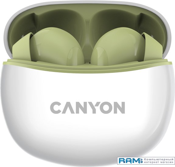 Canyon CNS-TWS5GR беспроводные наушники canyon cns sbths1l lime сп 00025264