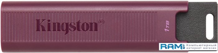USB Flash Kingston DataTraveler Max Type-A 1TB usb flash kingston datatraveler max type a 256gb