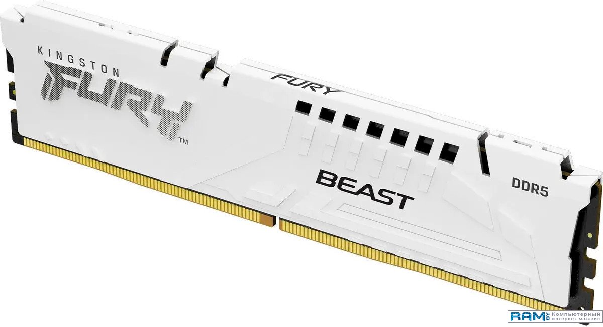 

Kingston FURY Beast 16 DDR5 6800 KF568C34BWE-16