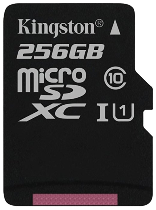Kingston Canvas Select SDCS256GB microSDXC 256GB kingston canvas select plus microsdxc 256gb