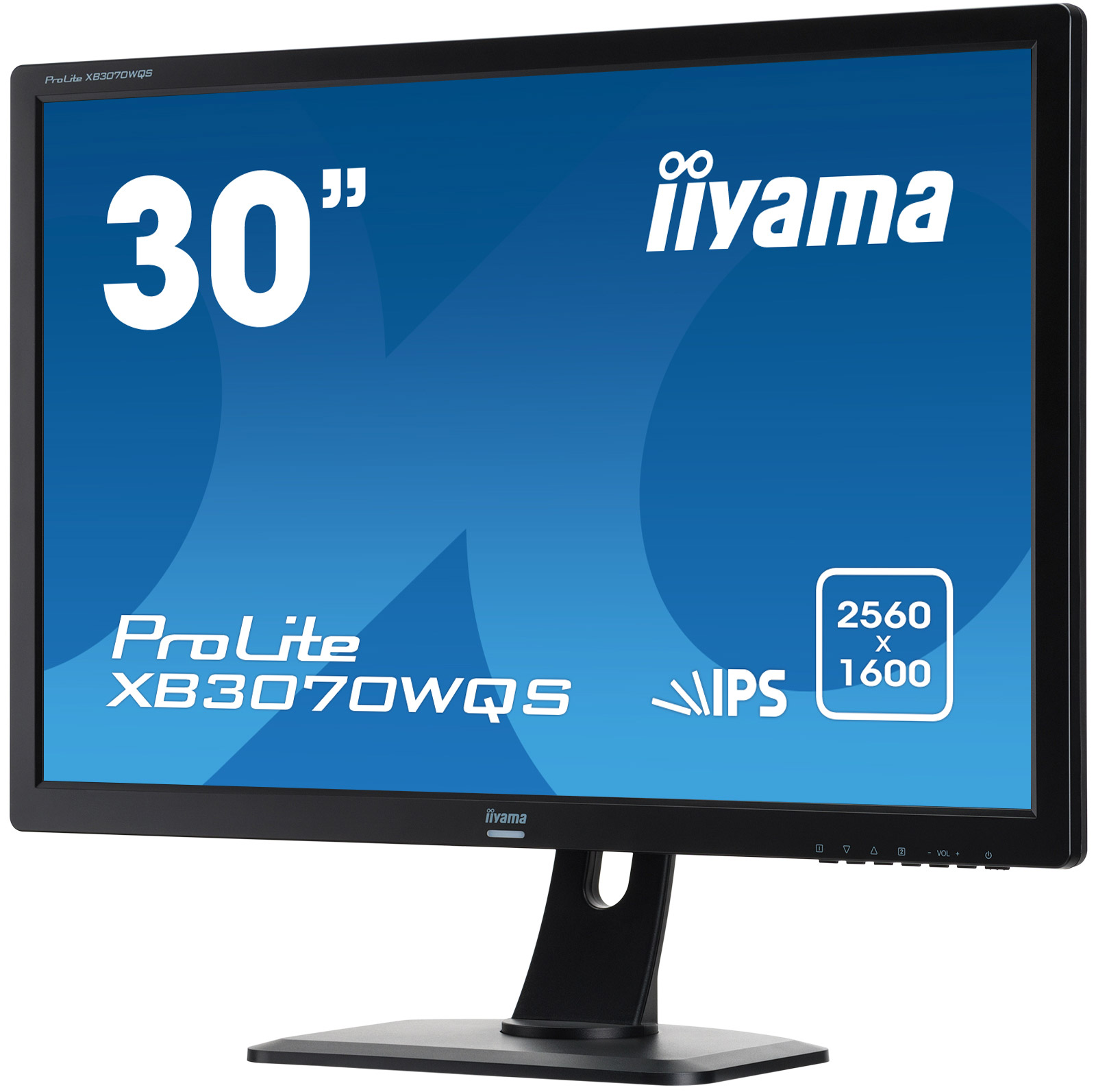 Монитор iiyama. Монитор Iiyama PROLITE xb3070wqs-1. Монитор Iiyama PROLITE e2282hs-1. Монитор 30. Телевизор Iiyama 30te2w 30